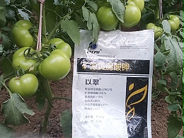 矿源黄腐酸钾别单用！这样搭配提质又增产