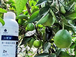 锌肥的作用及使用方法
