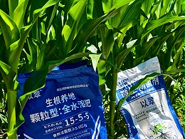 农业种植想要提高收益，思路一定要转变