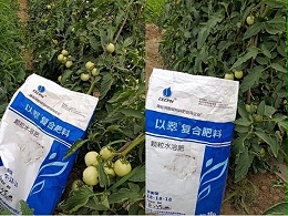 西红柿用什么肥料比较好？