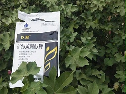 水溶肥哪家好？牛老板力荐翠力施