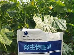 微生物菌剂没效果，看看用对了吗？