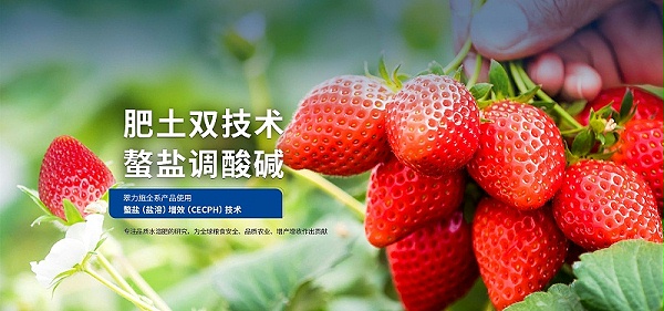 pc-首页广告02
