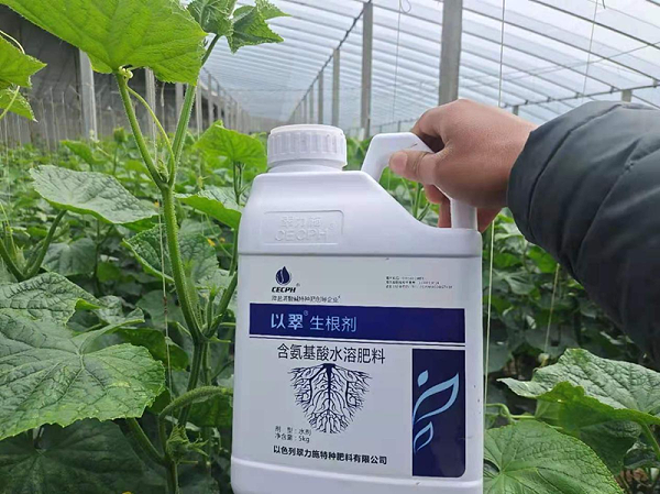 生根剂-黄瓜用翠力施以翠生根剂