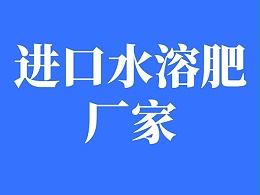 进口水溶肥厂家哪家更靠谱？从哪些方面考量？