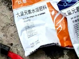 多雨季节怎么施肥？以翠螯盐增效来帮您