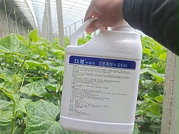 大棚黄瓜用什么水溶肥产量高？