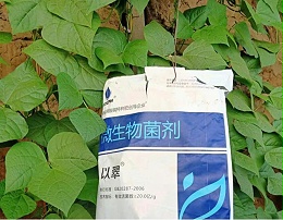 微生物菌剂哪家好？快看这篇