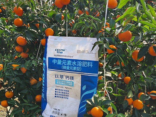 果树补钙用什么钙肥好-以翠沃柑效果